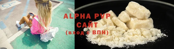 spice Аркадак