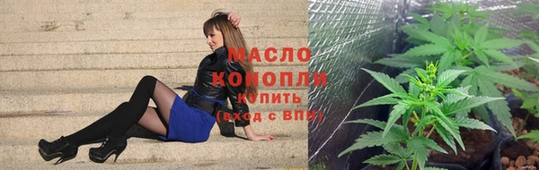 spice Аркадак