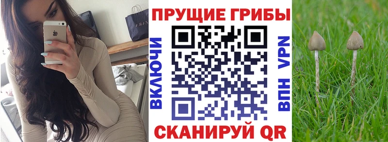 Галлюциногенные грибы ЛСД  хочу   Магас 
