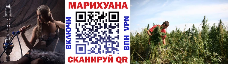 Шишки марихуана OG Kush  где купить наркоту  Магас 